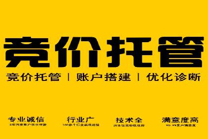 某公司SEM运营全流程解析及效果展示
